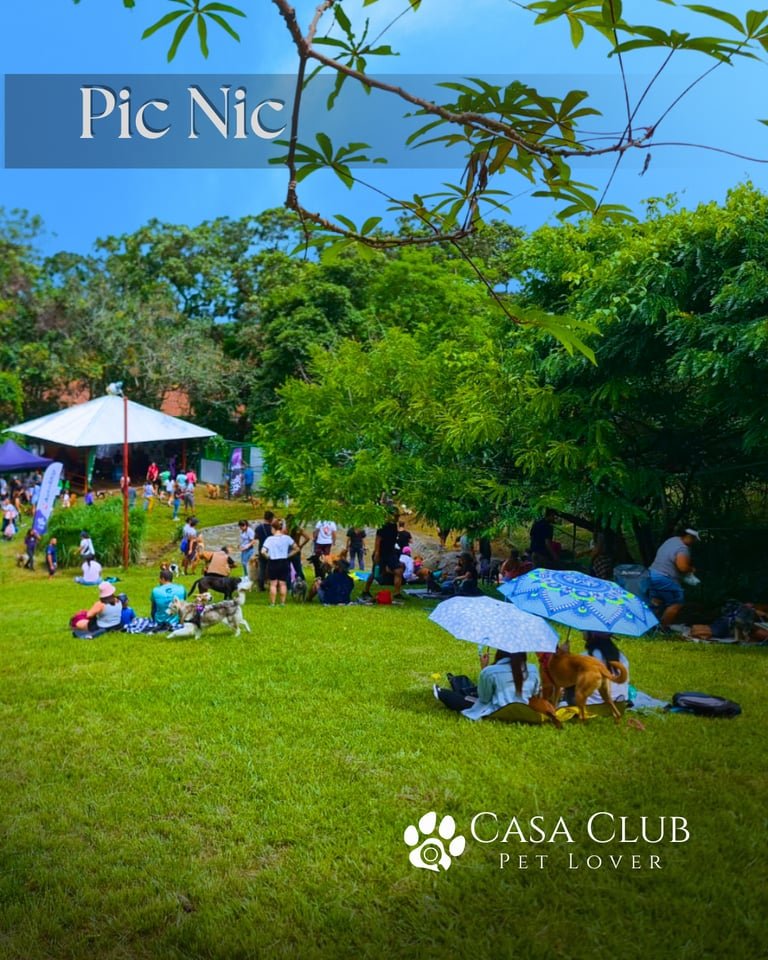 Casa Club PetLover