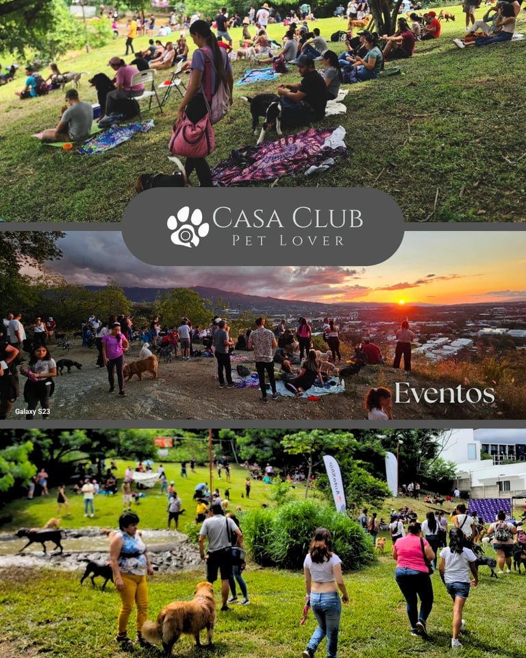 Mascotas en Weekend PetLover